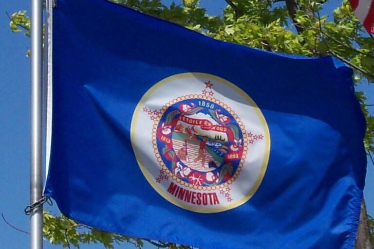 Mn old flag